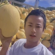 哈密瓜凤金6号