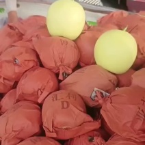 精品白皇冠