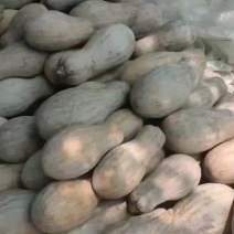 惠民成哥蔬菜水果代发