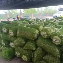 青皮核桃，礼品2号产地直销，保质保量，量大从优