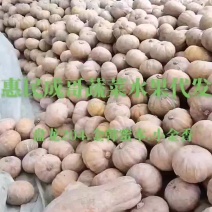 惠民成哥蔬菜水果代发