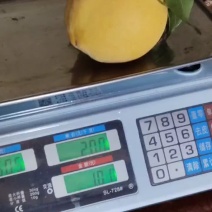炎陵黄桃产区一手货源保质保量供货批发零售