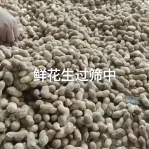 鲜花生