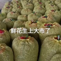 鲜花生