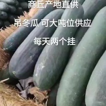 吊冬瓜