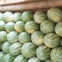 内蒙硒砂瓜