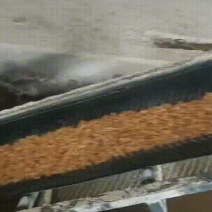 玉米压片