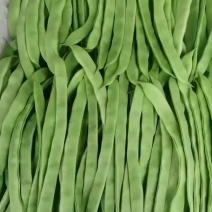 扁豆角大量