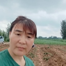 红薯可以联系我