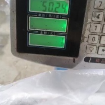 养虾厂里批发无冰衣次品虾仁