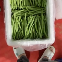 高山反季节，四季豆，小金豆