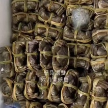 精品高邮湖，六月黄螃蟹
