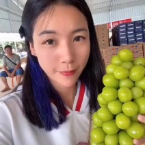 陕西阳光玫瑰葡萄皮薄肉厚，基地直发供应全国质量保证