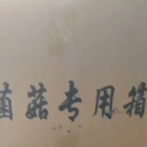草菇干货