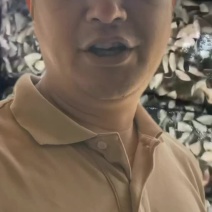 三花青皮大量上市