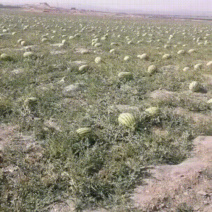 土地转让