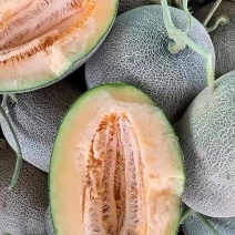西周蜜
