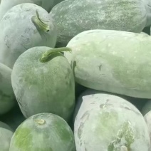 水果冬瓜大量有货。有需要的联系。一手货源