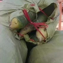 养殖水果萝卜无药残