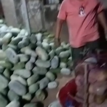 水果冬瓜