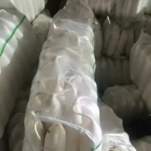 白萝卜精品全网***，欢迎咨询。