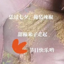 新疆优质高辣辣椒子量大质优，欢迎各位老板前来选购