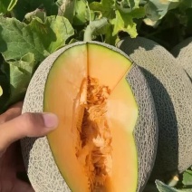 哈密瓜西周蜜