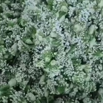 韭菜花