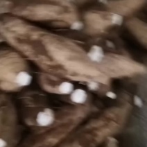精品葛根，无渣葛根