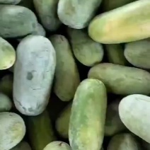 水果冬瓜