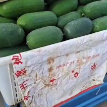 水果冬瓜