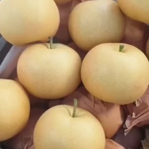 秋月梨