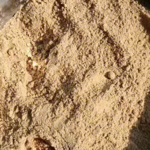 油糠，小米油康，脂肪14-16，蛋白质14-16，货源充足