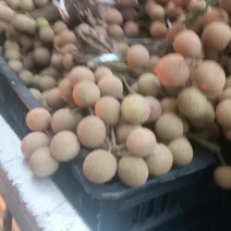龙眼大量上市