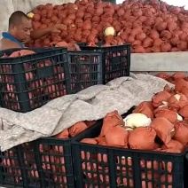 纸袋皇冠梨大量有货