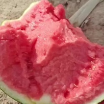 甘肃白银美都麒麟西瓜产地一手货源量大价优欢迎随时咨询