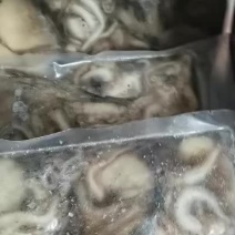 原浆八爪鱼