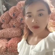 【山东大蒜】四六瓣大蒜支持视频看货，可发往全国市场！