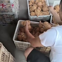 皇冠梨！果面干净，口感脆甜！