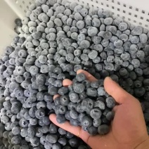 速冻蓝莓冻果南高批发大量现货