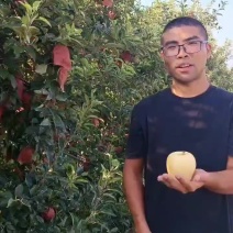 维纳斯黄金苹果