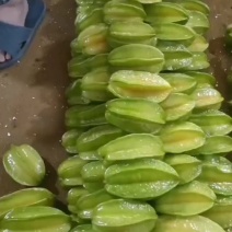 红龙杨桃