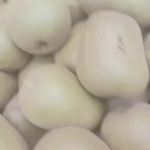 红心红阳猕猴桃，口感蜜甜