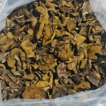 东北特产松树蘑（粘团子）