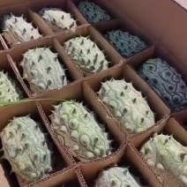 火参果