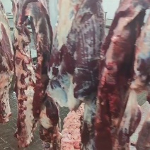 鲜牛肉批发