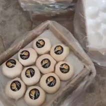 砀山县秋月梨大量上市，欢迎客户前来采购。
