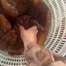 山东渤海湾海蜇