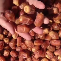 黄椰枣
