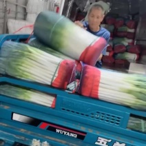 山东铁杆钢葱（热卖中）对接电商市场超市社团代发全国